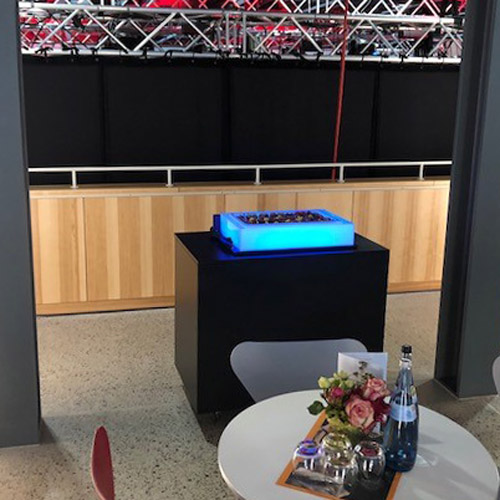 Bauchladen, Verkostungsdisplay, Buffetdisplay, Leuchttablett